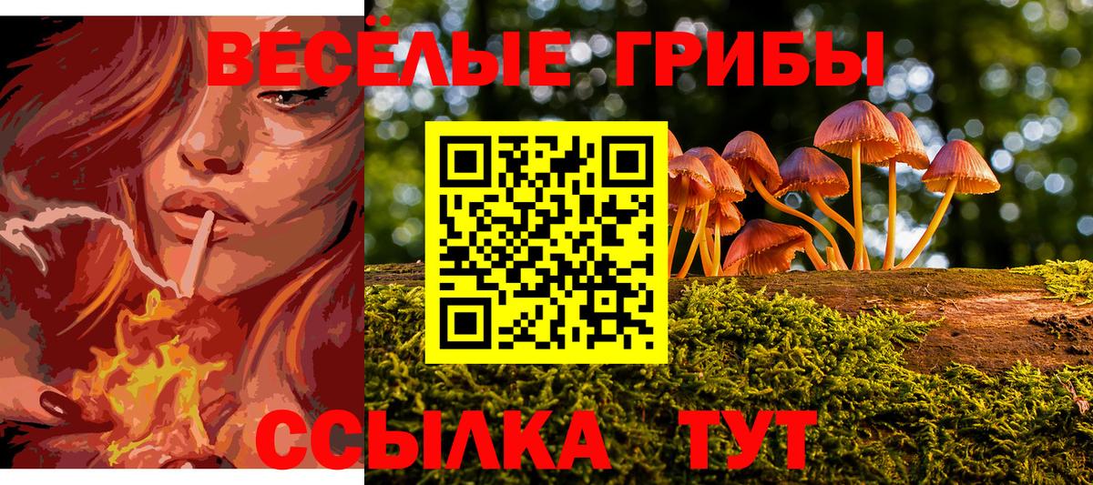 Шахты  Галлюциногенные грибы GOLDEN TEACHER  Вход с VPN  Псилоцибиновые грибы MAGIC MUSHROOMS 