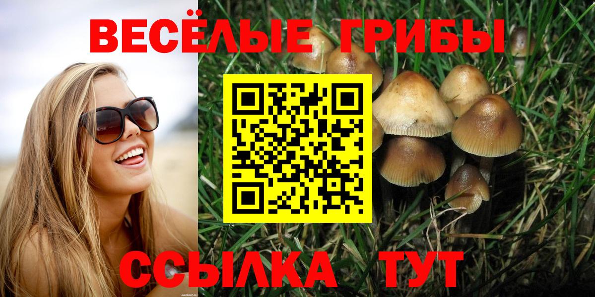 Псилоцибиновые грибы ЛСД Шахты